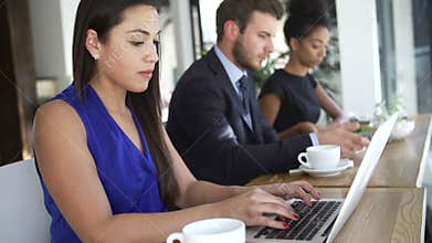 Businesswoman Using Laptop In Coffee Shop