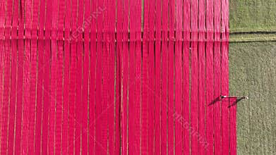 Aerial view of Hundreds of meters of newly dyed, bright red cotton are rolled out to dry in the sun in Narsingdi, Bangladesh.
