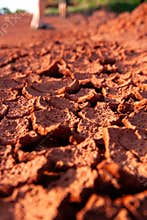 Close-Up of Cracked Red Earth in Drought Conditions
