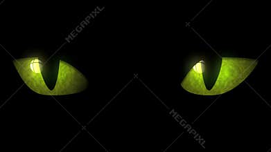 Cat Eyes Blinking Loop