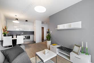 Modern interior design living room