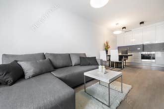 Modern living room interior with kitchen
