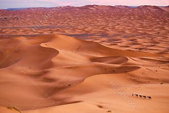 Sahara Desert