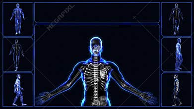 All human body systems