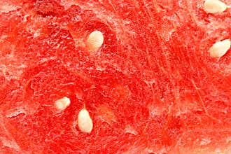 Vibrant red watermelon slice with seeds showcased in bright sunlight during summer months at a picnic table