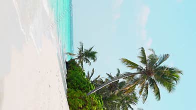 The amazing wild beach of the island of Maldives in the Indian Ocean. Azure water and palm trees. Palm shadow on the