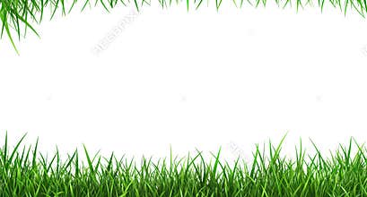 Grass Border Frame Isolated on White