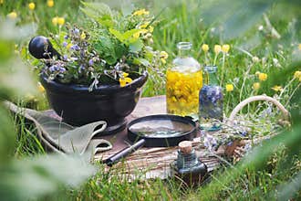 Mortar of medicinal herbs, old book, infusion bottles, basket and magnifying glass on a grass on summer meadow