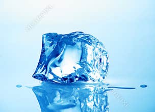Ice cube