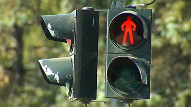 Traffic light for pedestrian