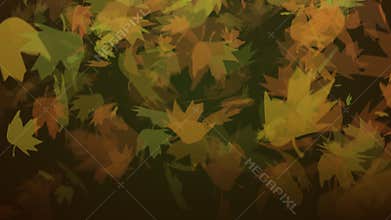 Leaves Falling