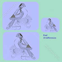 Find 10 differences of bullfinch birds, painted in the zentang style, in a puzzle