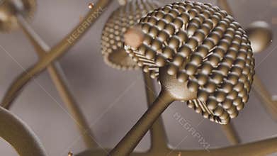 3d animation of Aspergillus cells