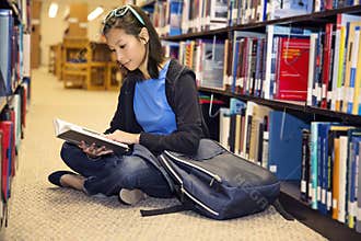 Reading in the Library