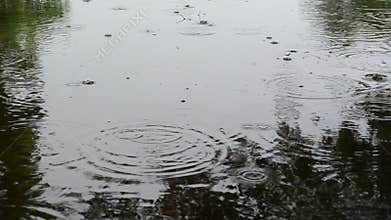 Human cross pool water