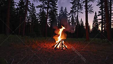 Campfire burning in forest at twilight, tranquil evening wilderness scene