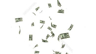 US Dollars Flying Particles, against white, stock footage