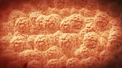 Inside human body,fat cells,highly detailed texture, stock footage