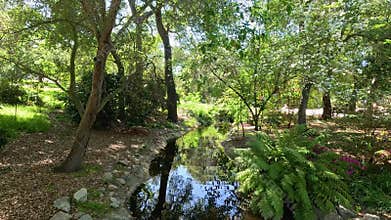 footage of a small creek with lush green trees and plants and colorful flowers at Descanso Gardens La Canada Flintridge California