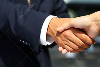 Business man shaking hands
