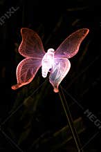 Solar powered night butterfly pink light