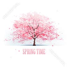 Beautiful cherry blossom tree