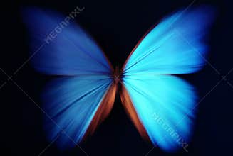 Blue butterfly abstract with zoom