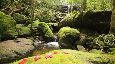 Dolly: Beautiful waterfall in rain forest, Thailand. , HD 1080P