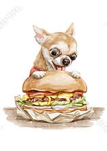 Watercolor little puppy dog character animal in clothes eat big burger fast food in a wrapper vector