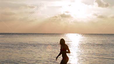 Silhouette Of Multi Generation Family Walking In Sea