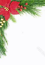 Evergreen Christmas Border