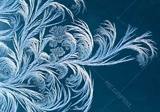 Frost Abstract