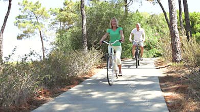 Long shot of romantic senior