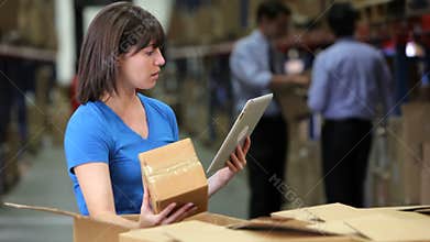 Worker Using Digital Tablet To Check Boxes