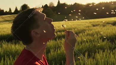 Young man blowing a dandelion blowball