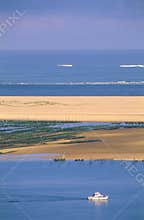 Oyster beds, Pyla, Bay of Biscay, France