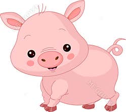 Farm animals. Pig