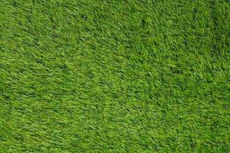 Artificial turf green grass