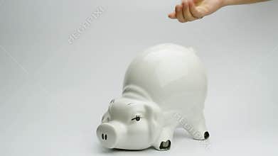 Piggy bank