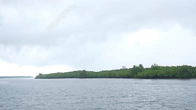 Tropical Mangrove Forest Peninsula Surrounded by Calm Coastal Waters