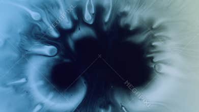 Dye blot wet blob splotch drop paint flow stream