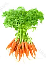 Carrot
