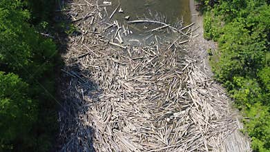 A pile of driftwood resulting from the spring flood accumulates and completely blocks the passage of a calm river.