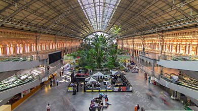 Tropical green house timelapse, location in 19th century Atocha Railway Station in Madrid, Spain.