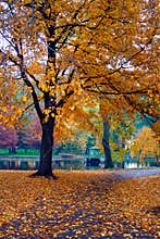 Autumn in Boston