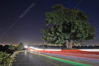 Surrounded by Night Light