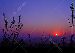 Sunrise - Mountains And Grass Silhouettes
