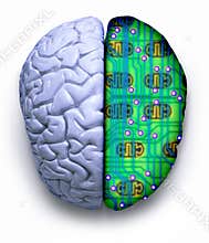 Computer Science Brain Technology