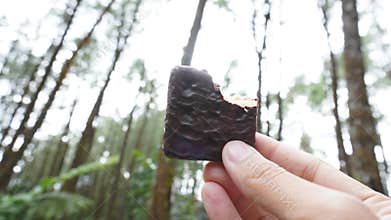 eating chocolate cookies in a nature filled with pine trees