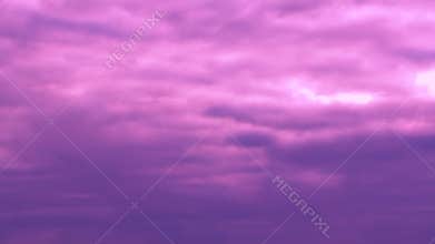 FLYING FLOCK OF BIRDS IN THE MAGICAL SKY FULL HD